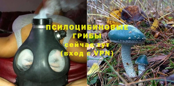эйфоретик Горняк