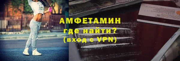шишки Вязники