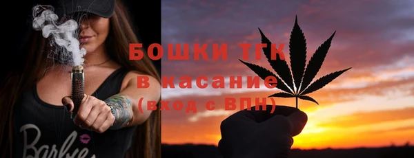 эйфоретик Горняк