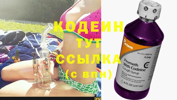 шишки Вязники