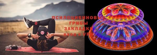 шишки Вязники